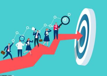 项目定制化与个性化服务